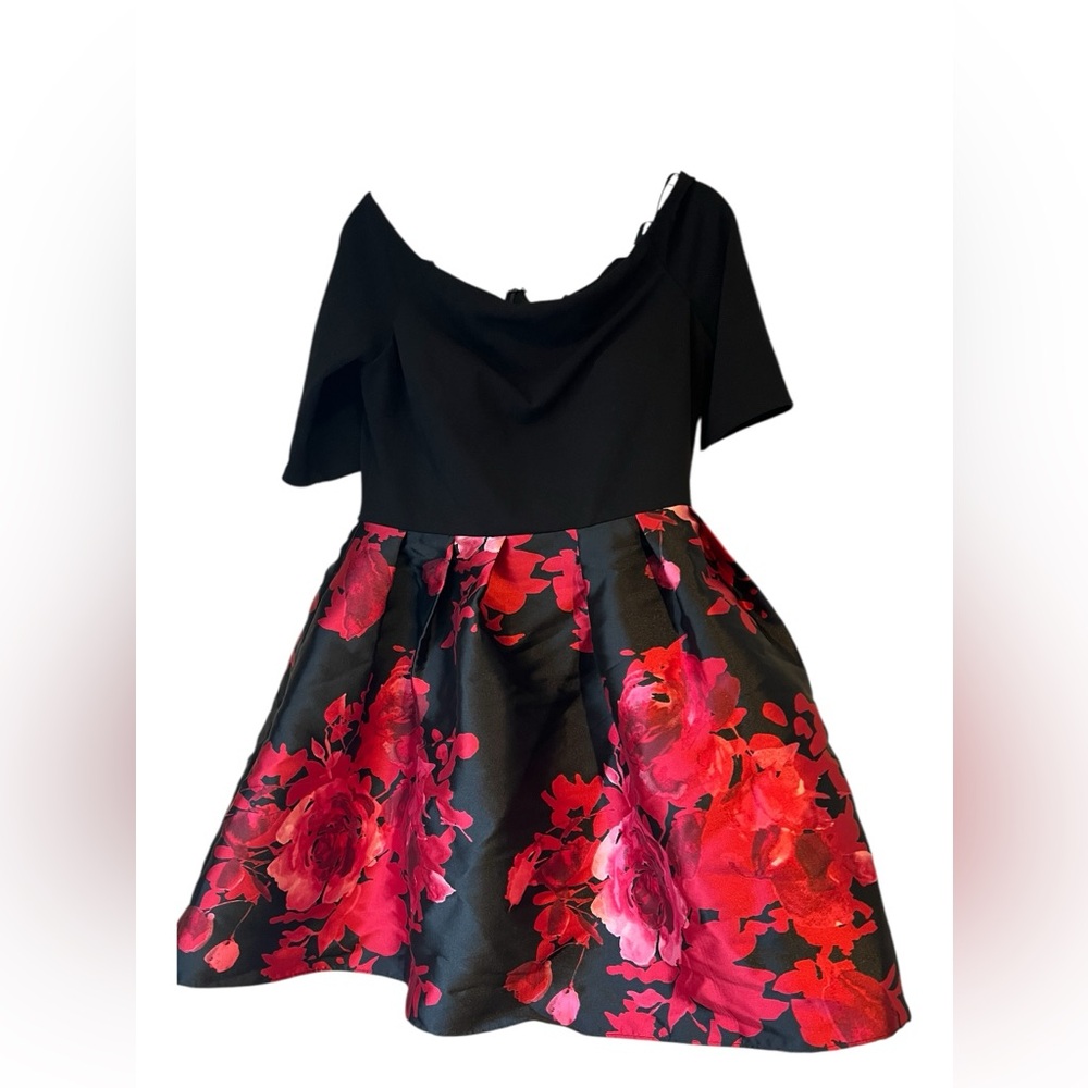 Betsy & Adam Size 14 Black Red  Floral Fit & Flare Dress w/ Crinoline  Worn Once